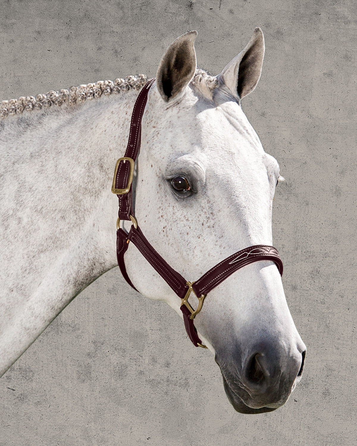 Signature Padded Halter