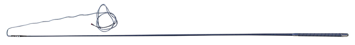 Color Lunge Whip