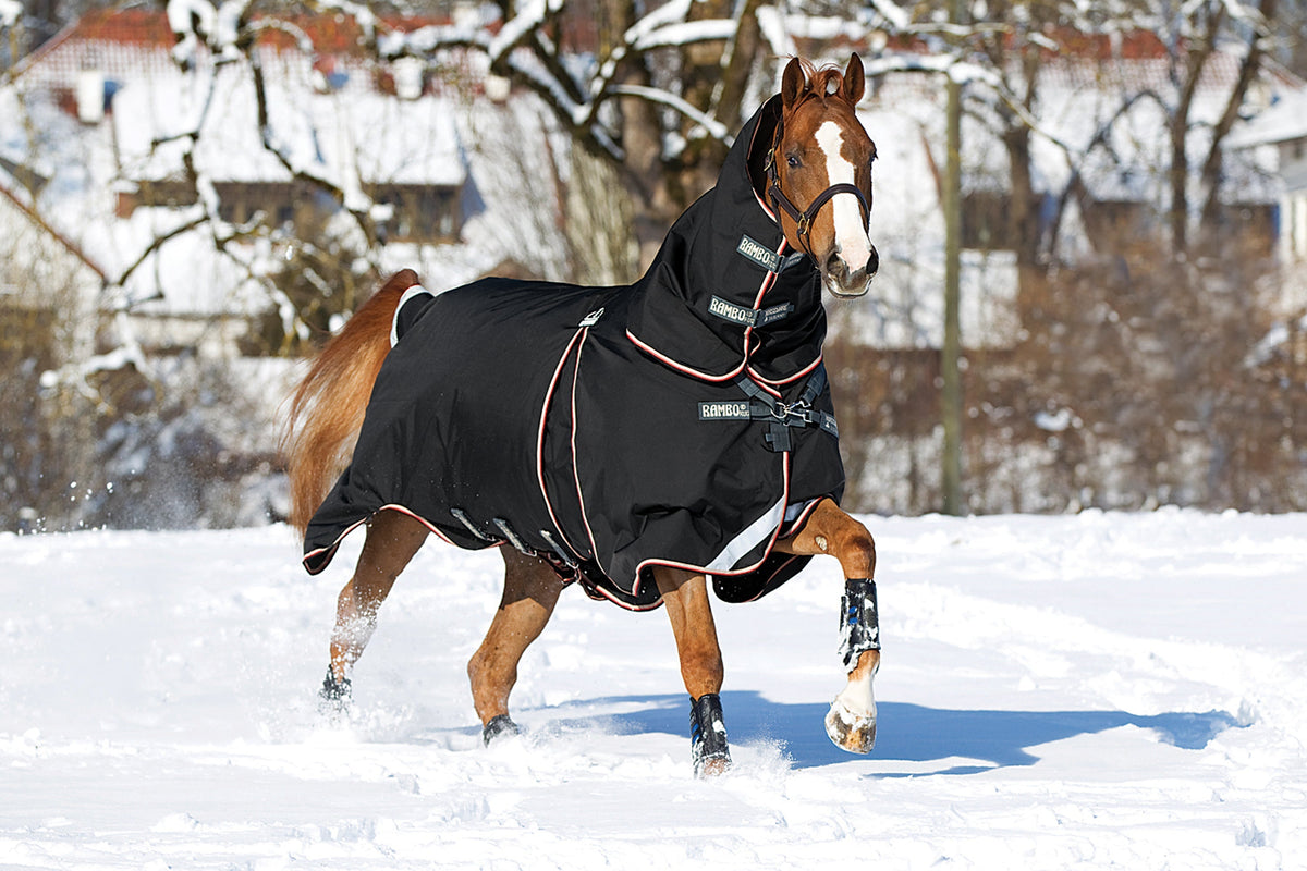 Optimo Turnout Blanket