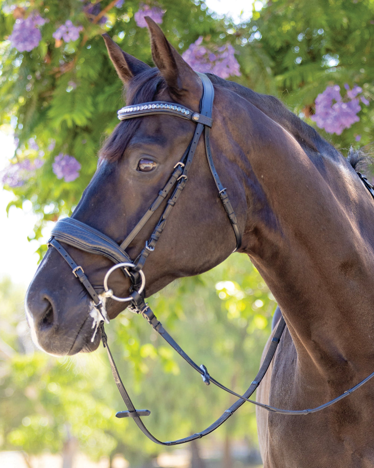 Doc Marten Snaffle Bridle