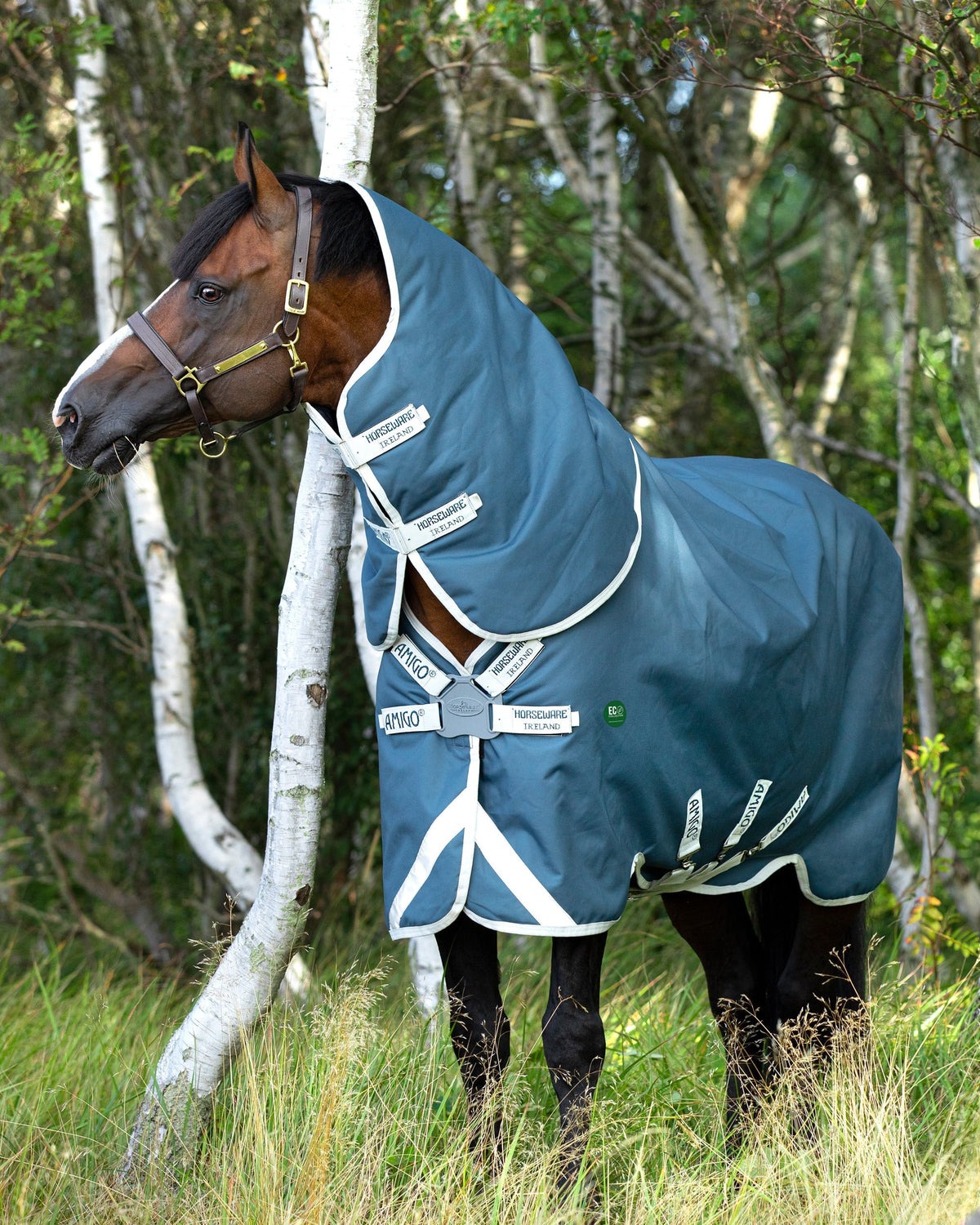 AmEco 12 Plus Lightweight Turnout Blanket