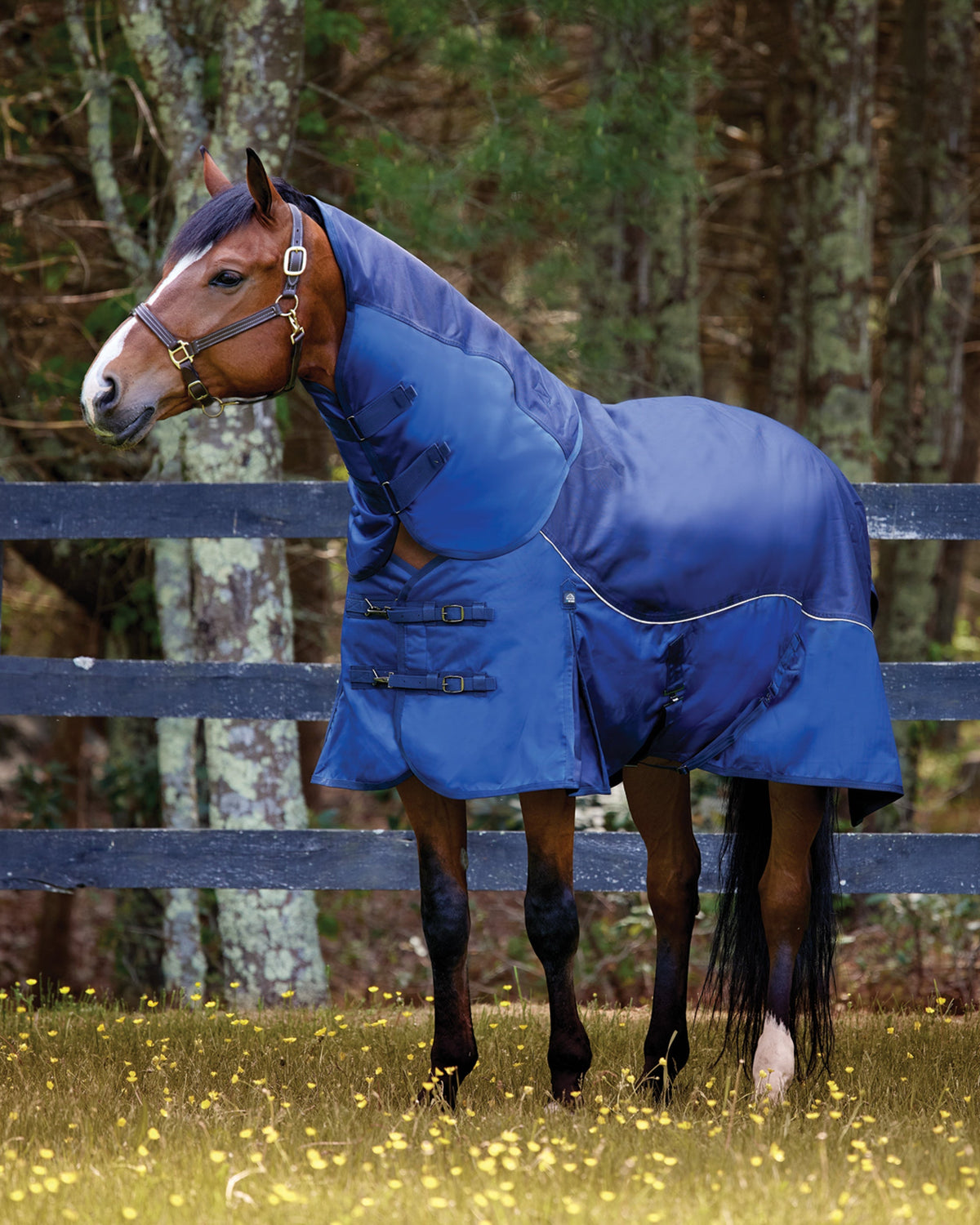 Light-Weight Turnout Blanket with Detachable Neck–100 grams
