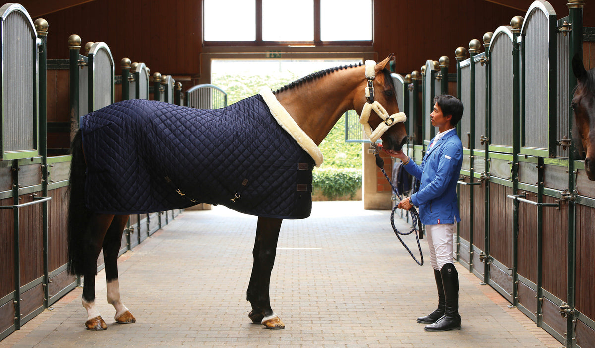 Show Rug